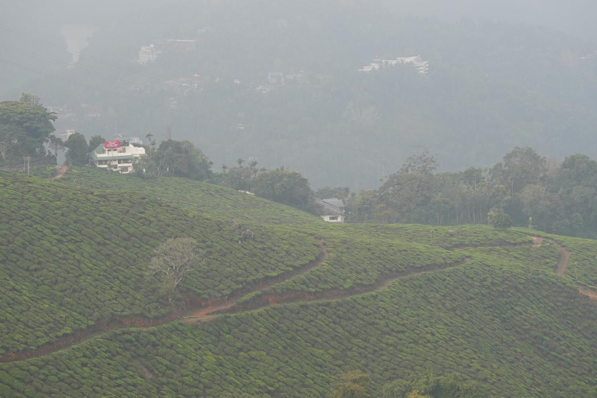 Bed and Breakfast Misty Bush Munnar Exterior foto